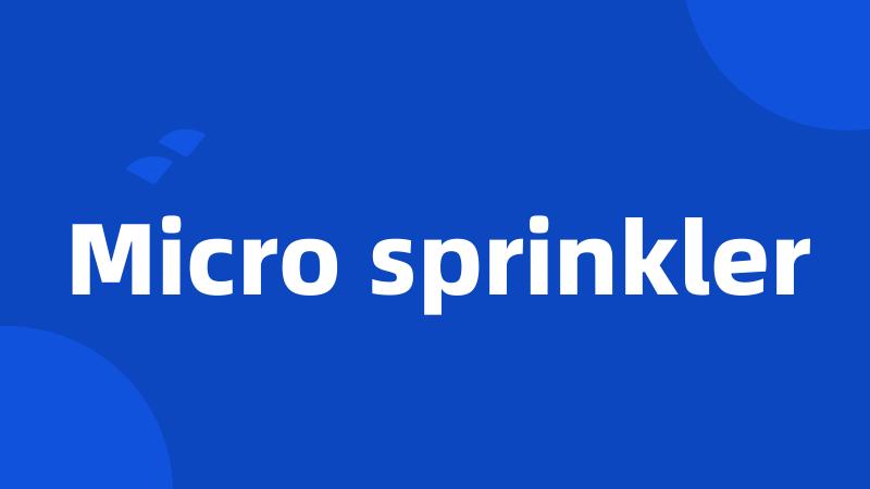 Micro sprinkler