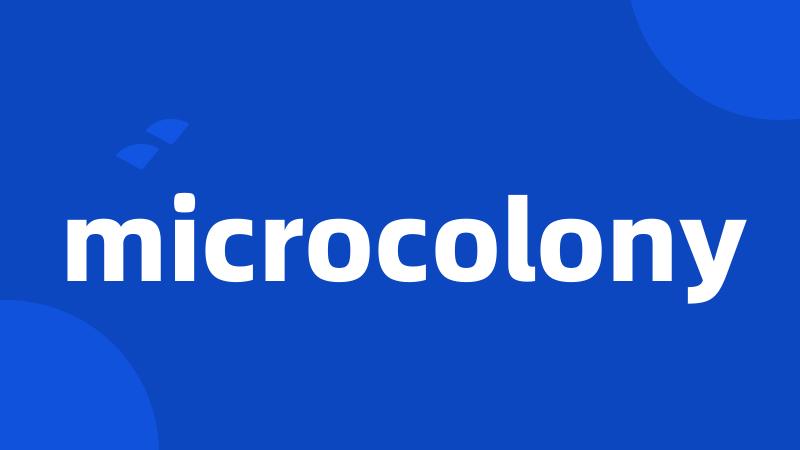 microcolony