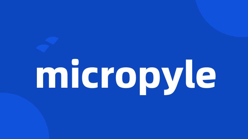 micropyle