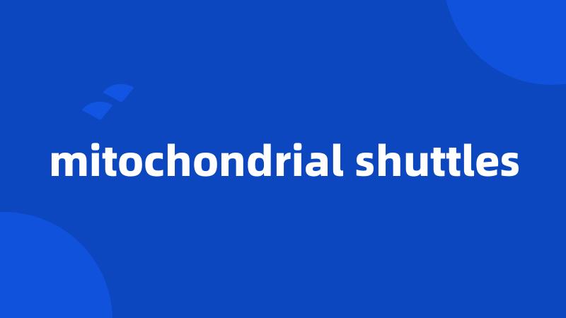 mitochondrial shuttles