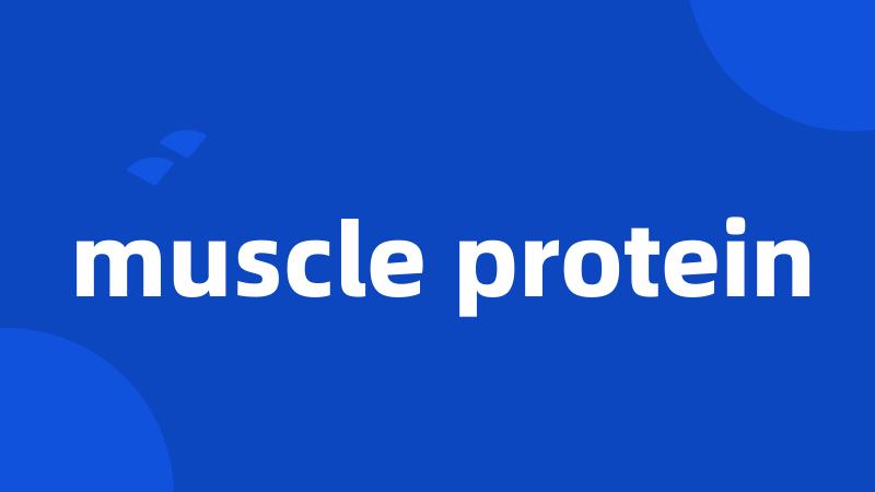 muscle protein