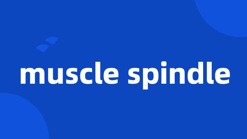 muscle spindle