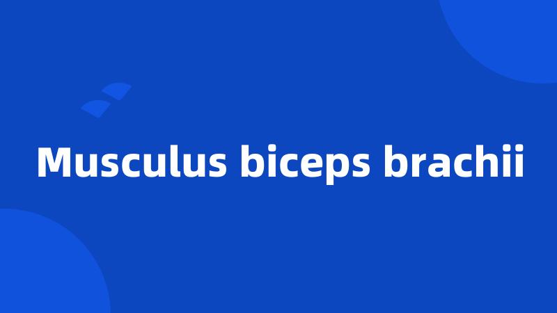 Musculus biceps brachii