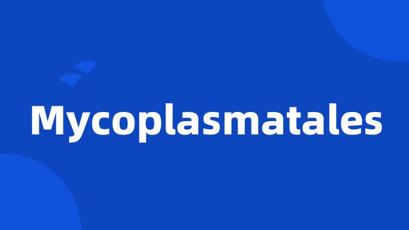 Mycoplasmatales