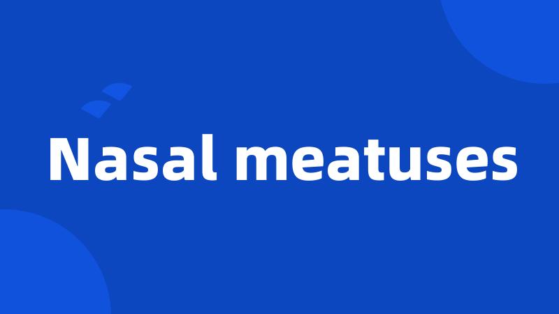 Nasal meatuses