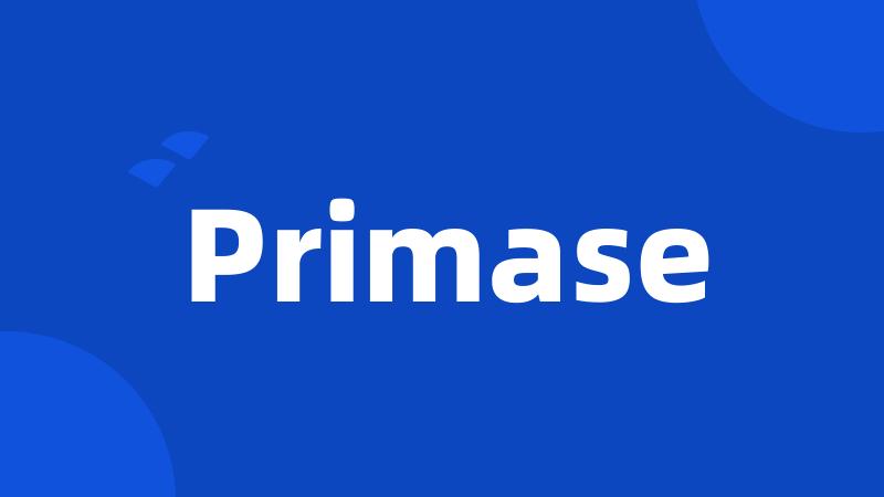 Primase