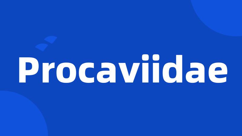 Procaviidae