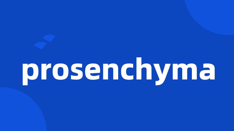 prosenchyma