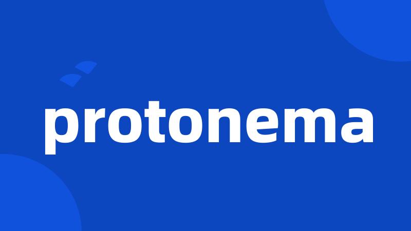 protonema