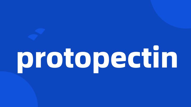 protopectin