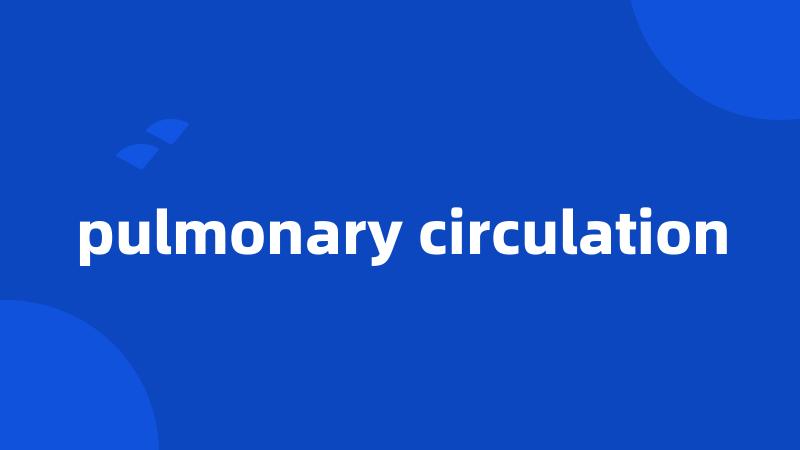 pulmonary circulation