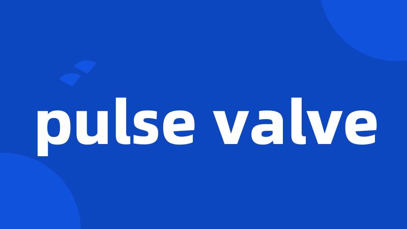 pulse valve