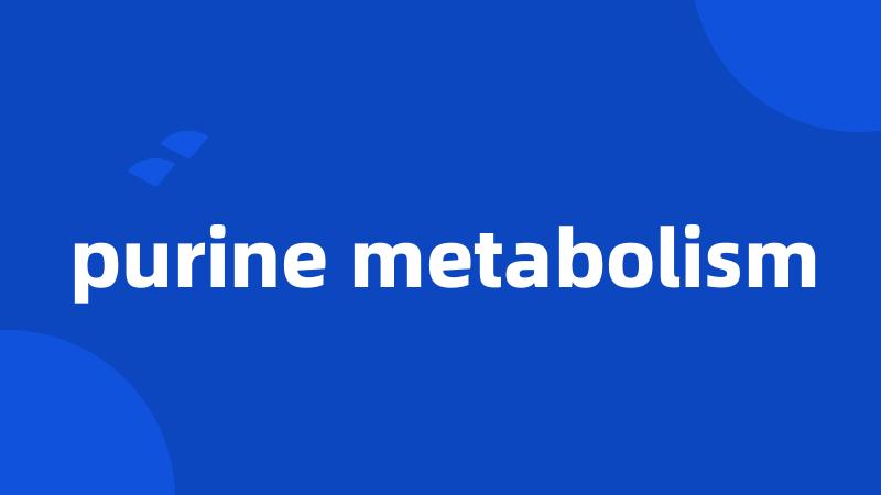 purine metabolism