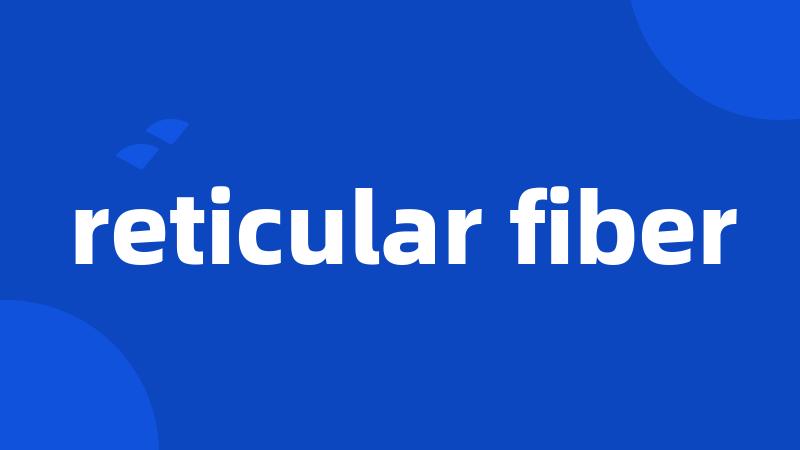 reticular fiber