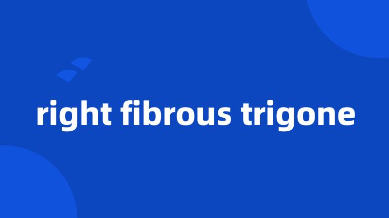 right fibrous trigone