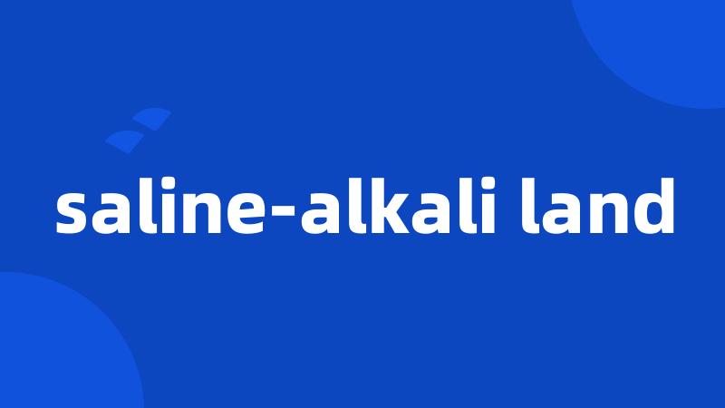 saline-alkali land