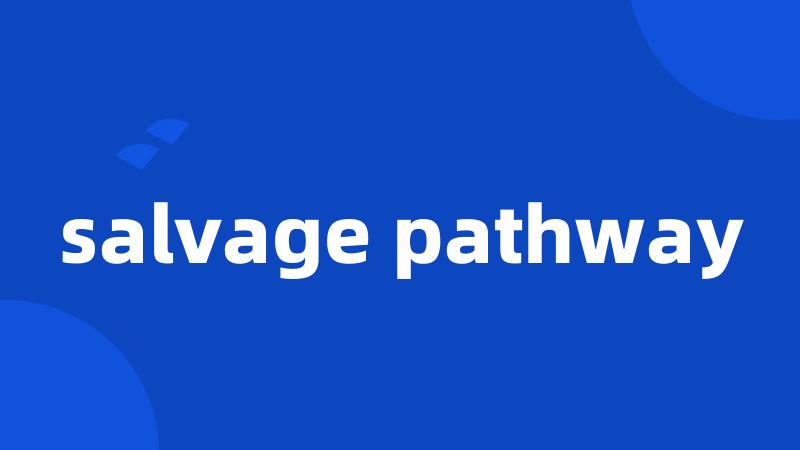 salvage pathway