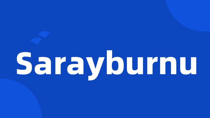 Sarayburnu