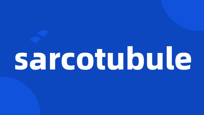 sarcotubule