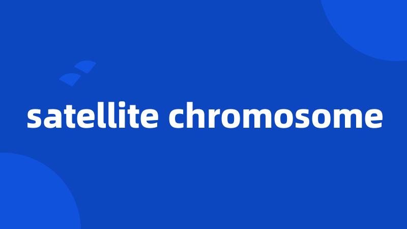 satellite chromosome