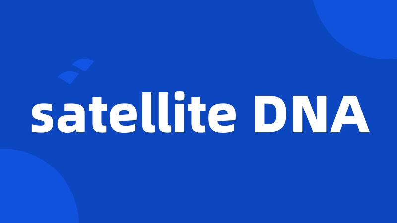 satellite DNA