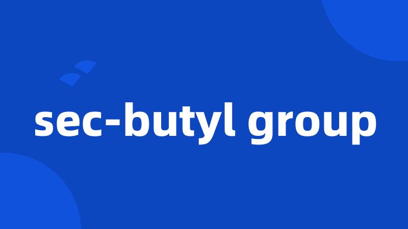 sec-butyl group