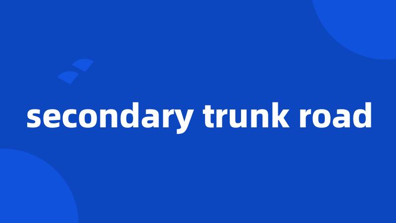 secondary trunk road