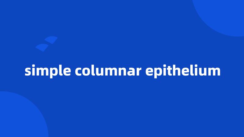 simple columnar epithelium