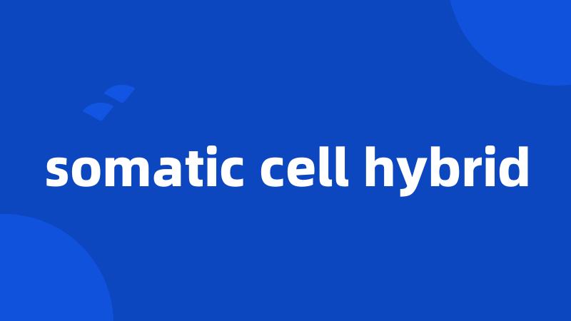 somatic cell hybrid