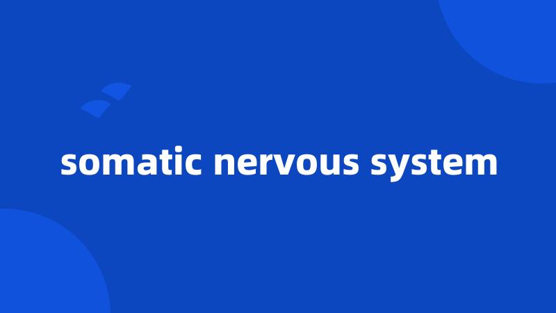 somatic nervous system