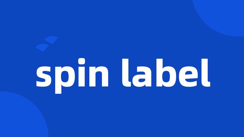 spin label