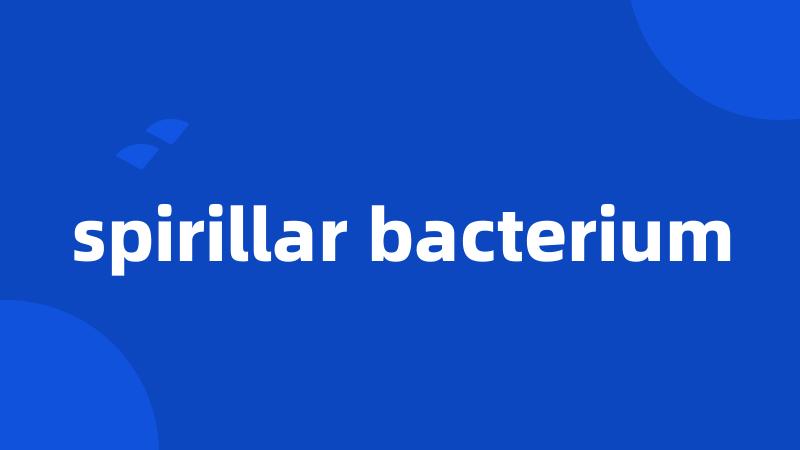 spirillar bacterium