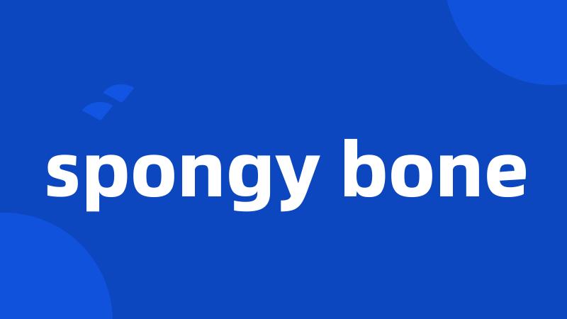 spongy bone