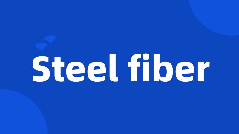 Steel fiber