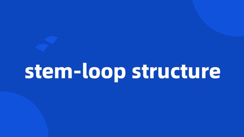 stem-loop structure