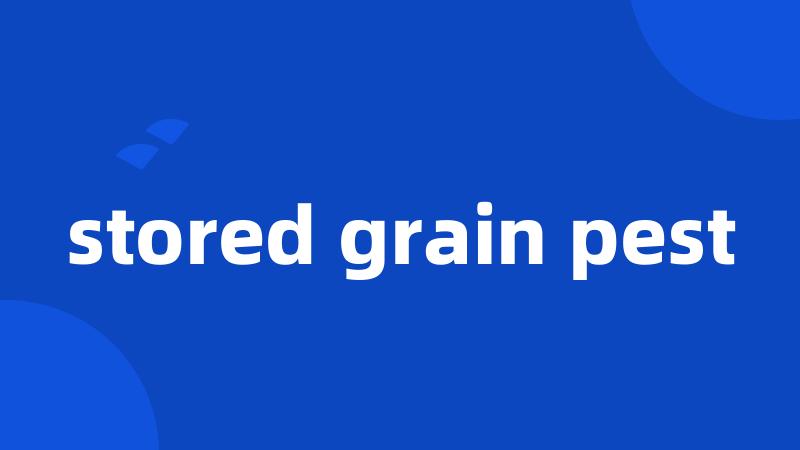 stored grain pest