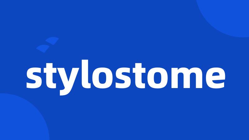 stylostome