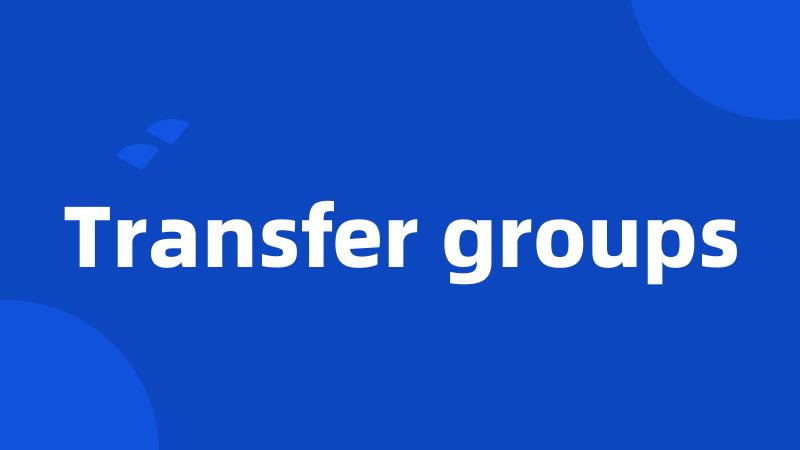 Transfer groups