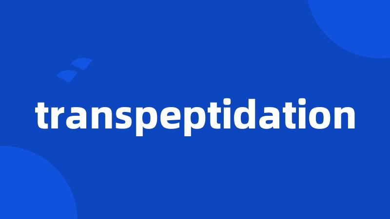 transpeptidation