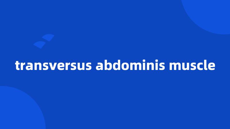 transversus abdominis muscle