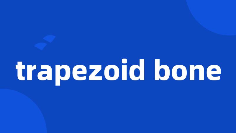 trapezoid bone