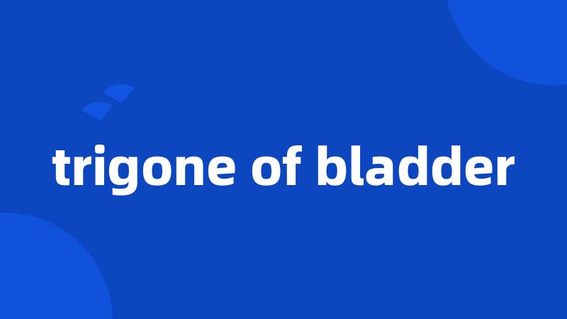 trigone of bladder