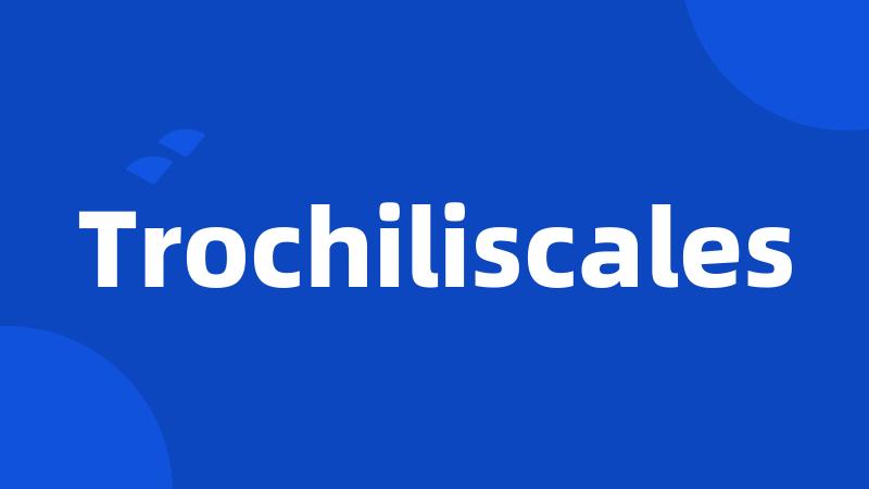 Trochiliscales