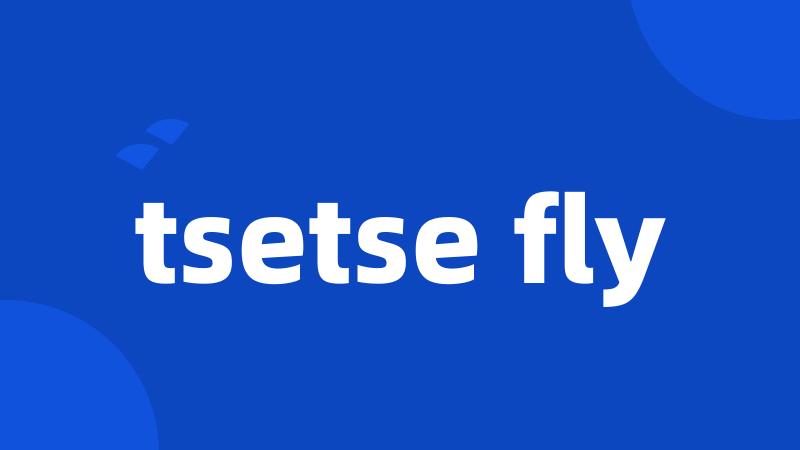 tsetse fly