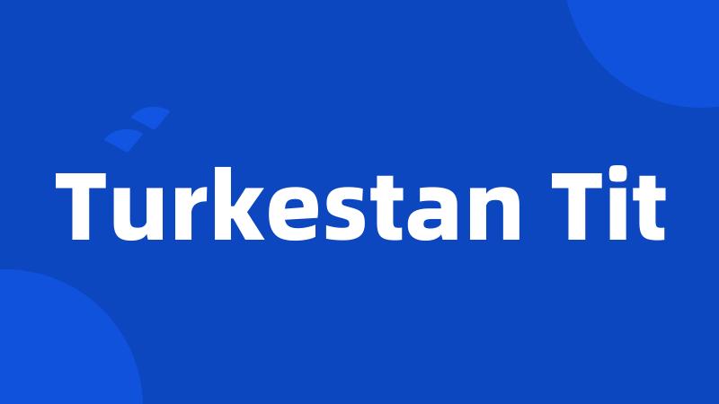 Turkestan Tit