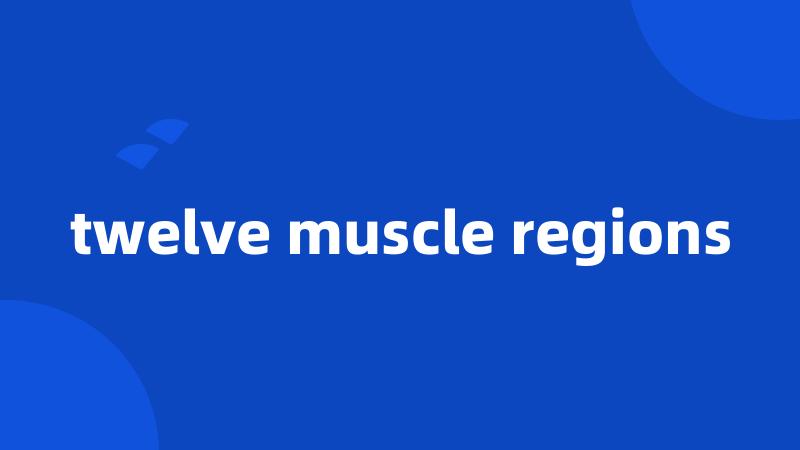 twelve muscle regions