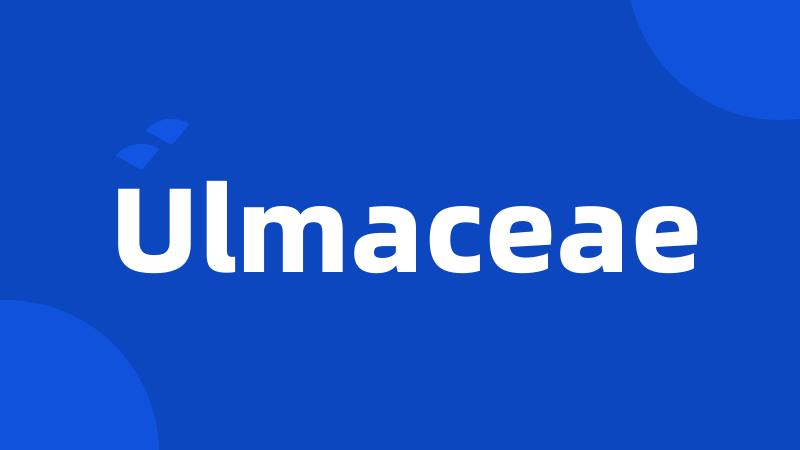 Ulmaceae