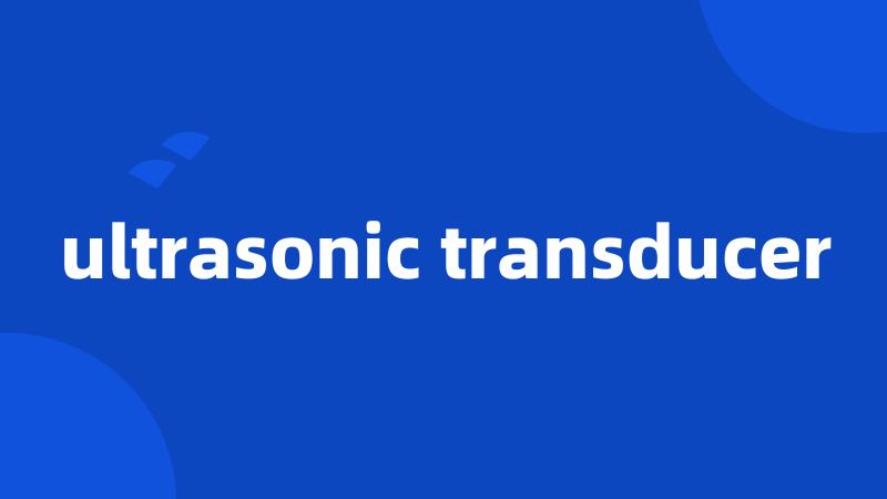 ultrasonic transducer