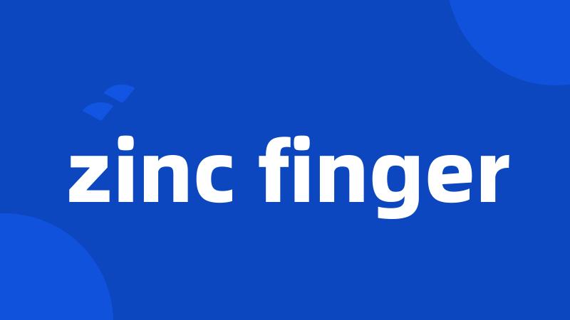 zinc finger