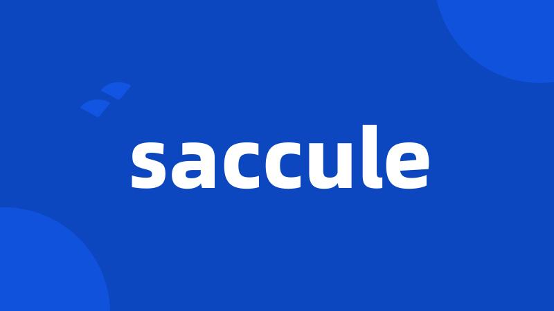 saccule